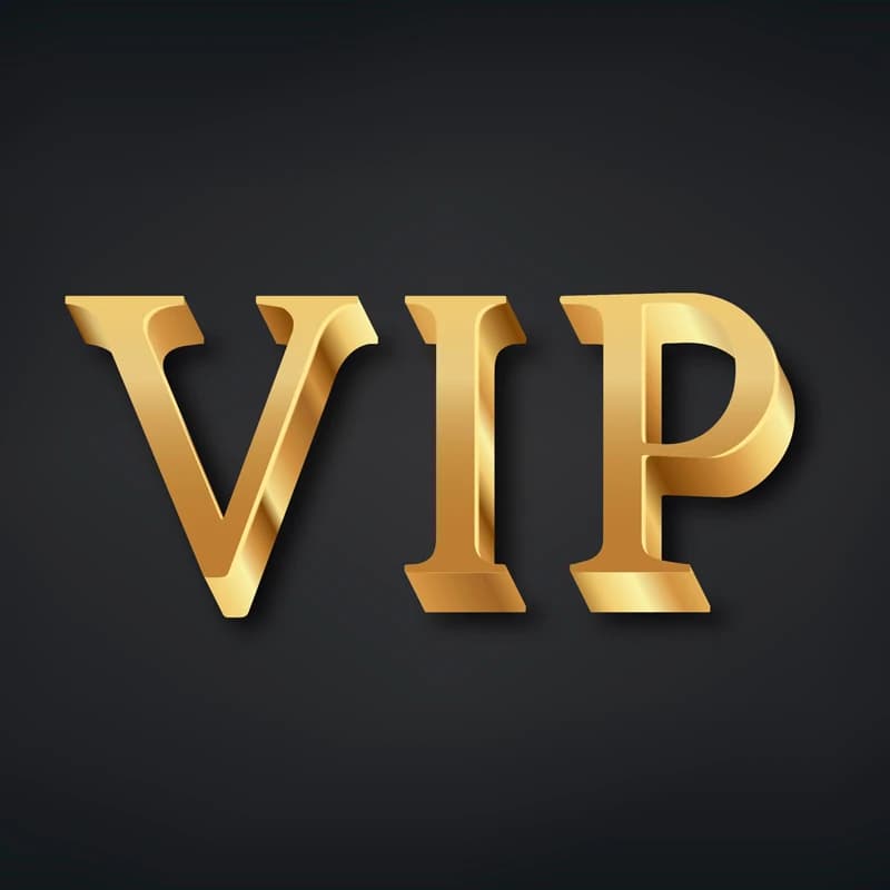 Liens personnalisés VIP-BK-102-boîte en caoutchouc