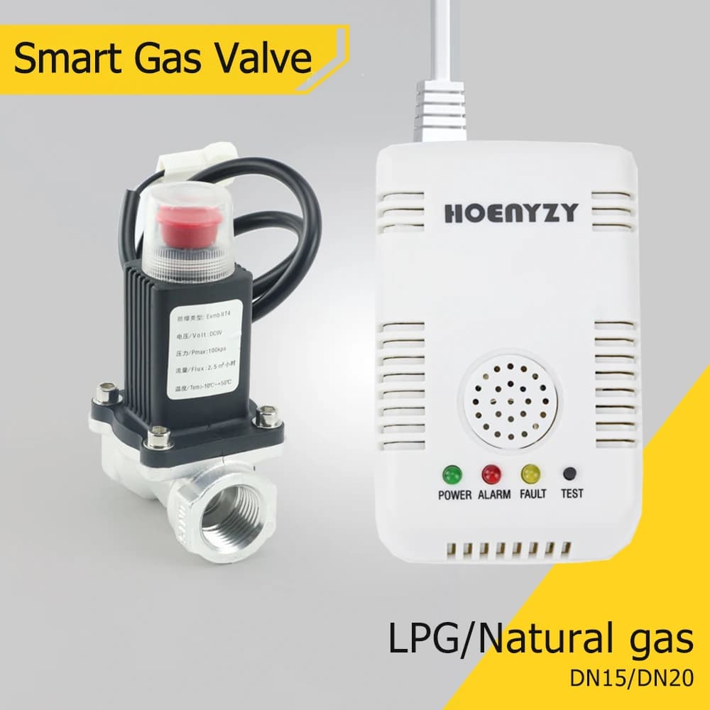 Smart Stones-Alarme de gaz naturel avec électrovanne, arrêt automatique, capteur de détecteur de fui
