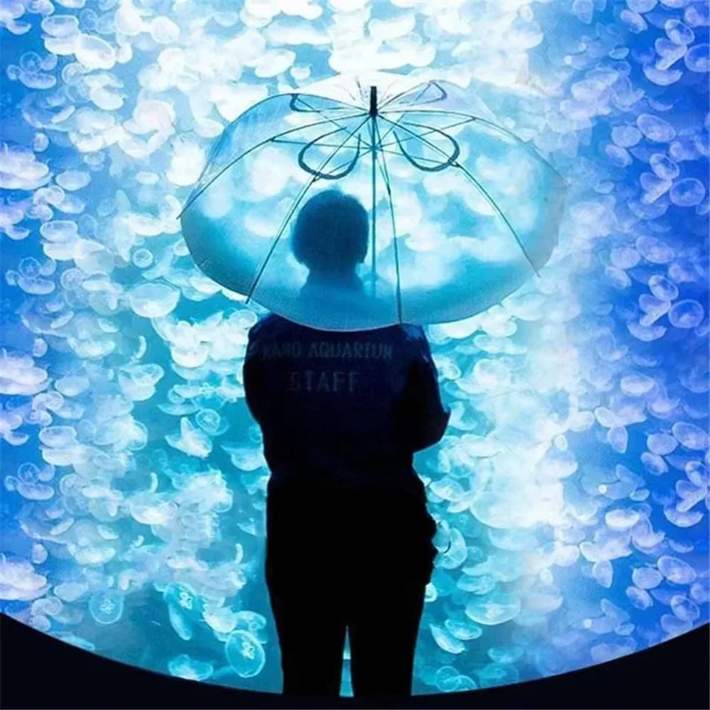 Parapluie méduse à long manche, automatique, transparent, nickel é, unique, parasol de plage, plasti
