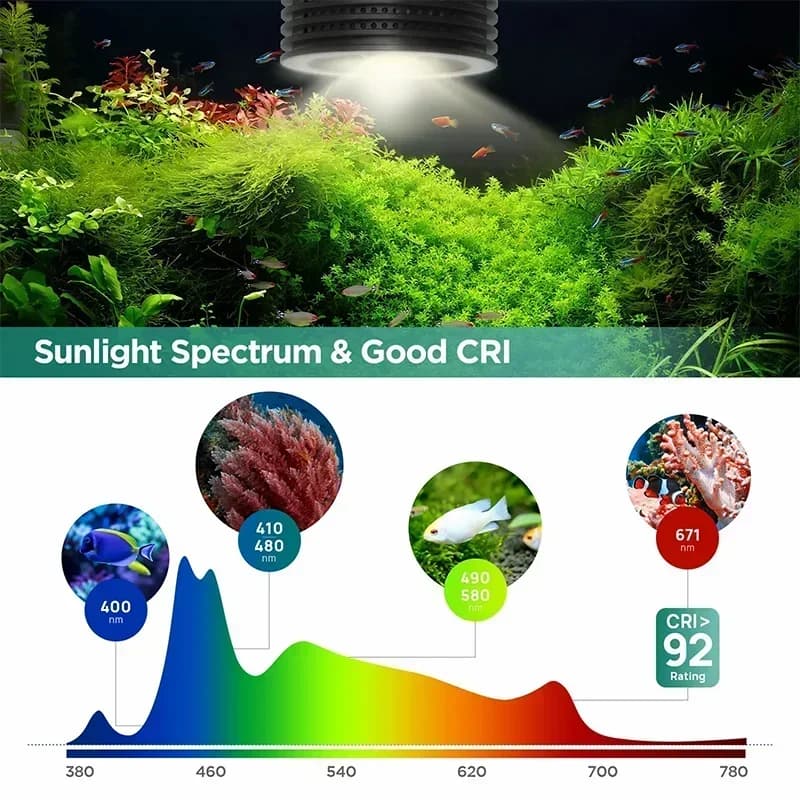 Lominie LED lumière d'aquarium, lumière d'aquarium plantée 4 canaux télécommande 6500K pour réfugium