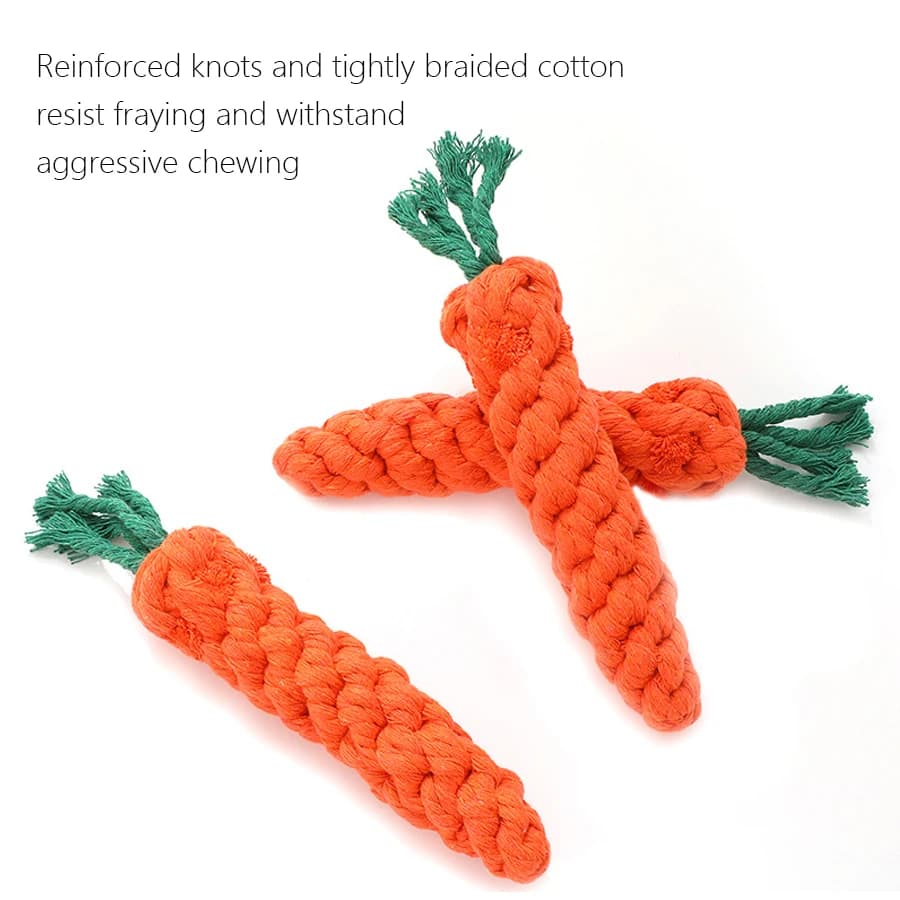 Jouets à mâcher pour petits chiens, jouets pour chiens de compagnie, livres, dents, chiot, carotte, 