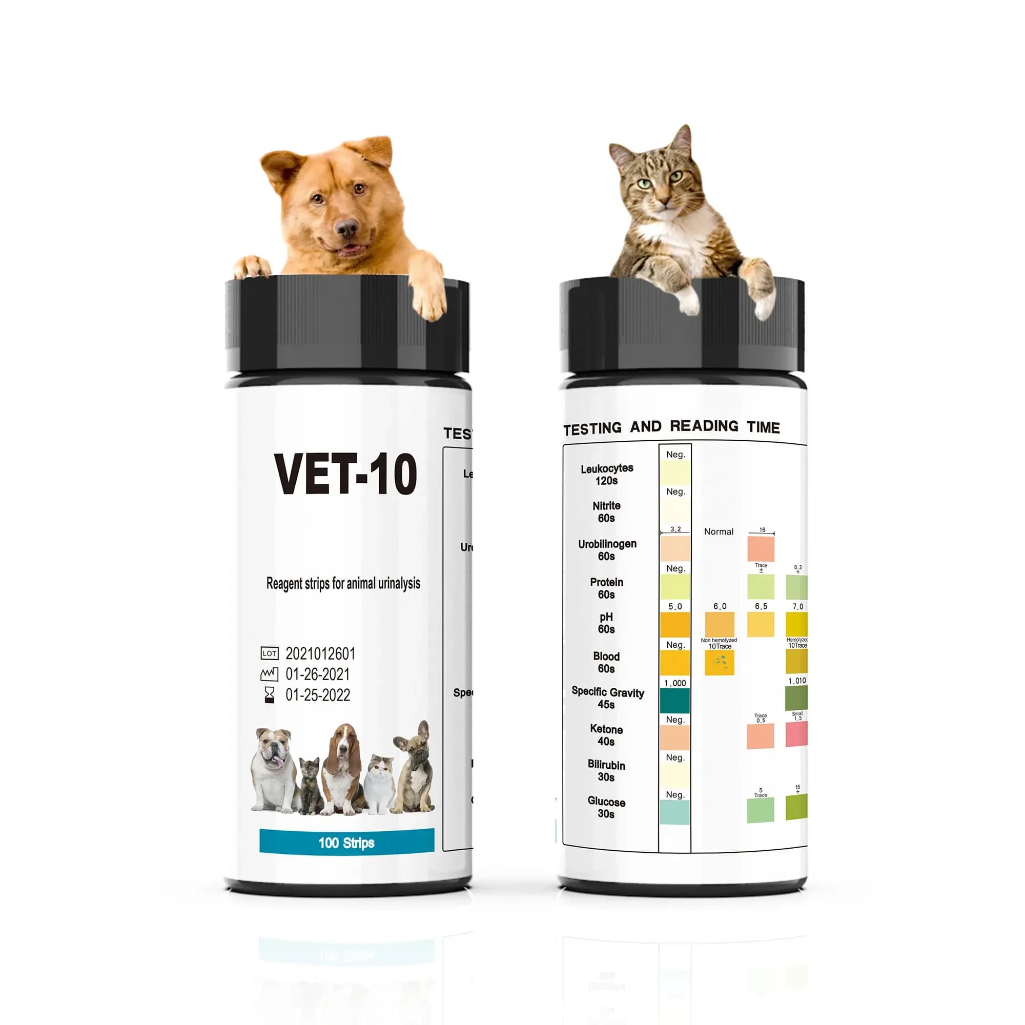 Bandelettes de Test d'urine pour la santé des animaux de compagnie, bandelettes de réactifs à 10 par