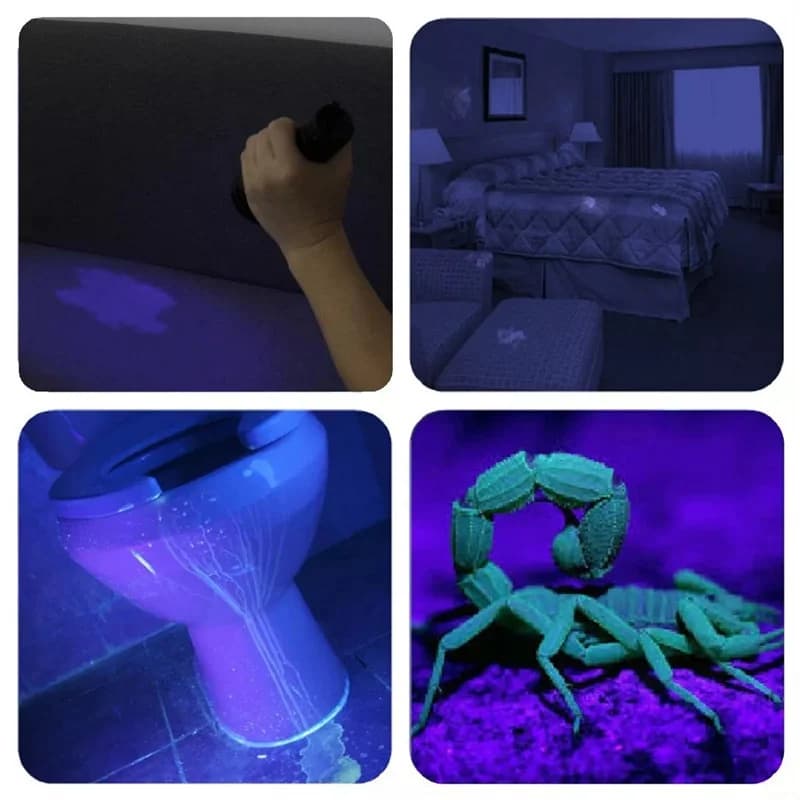 21 LED UV lampe de poche ultraviolette lumière noire 395NM Mini torche lampe Flash pour les taches d
