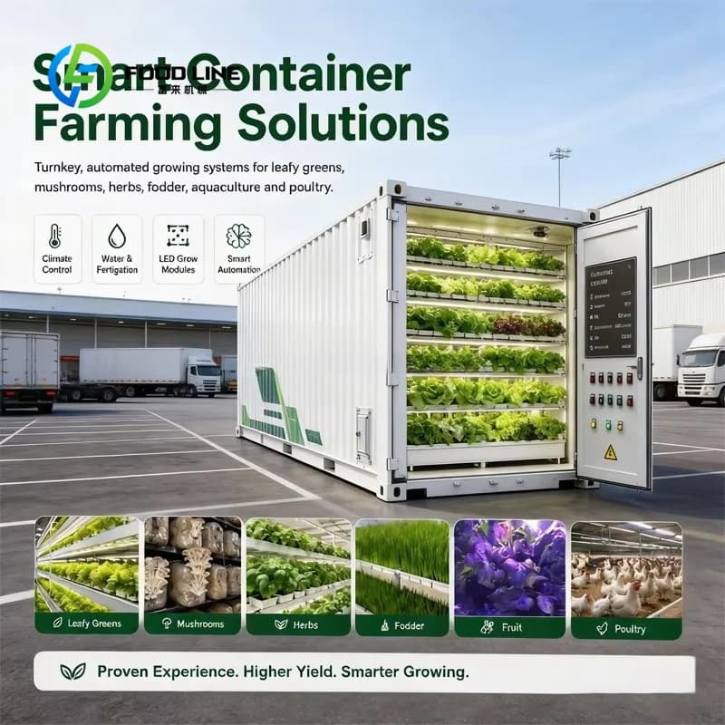 Ferme hydroponique en conteneurs pour la culture commerciale de légumes-feuilles, agriculture vertic