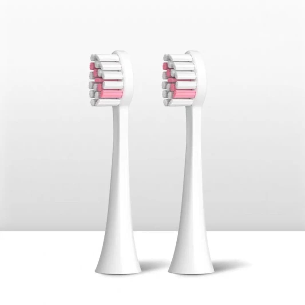 Têtes de rechange pour brosse à dents électrique Seago, pour SEAGO S2/S5/SX/S10/SG972/SG2701/SG2752/