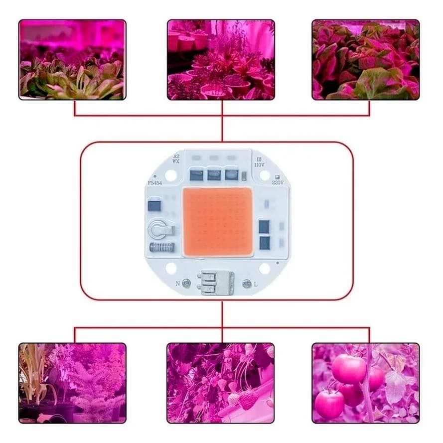 RnnTuu-Puce LED COB pour budgétaire, pas besoin de pilote, perles de lampe LED pour budgétaire, écla