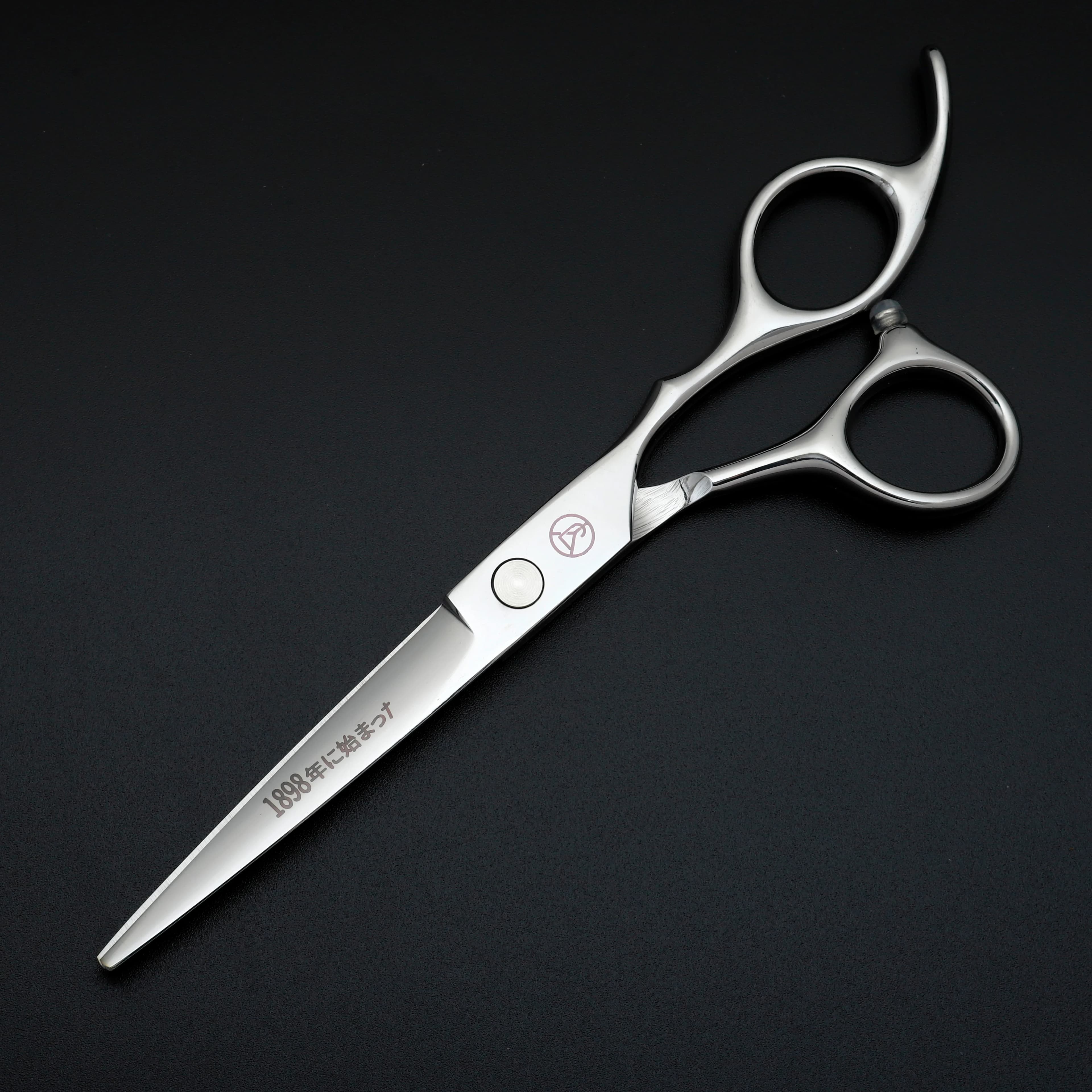 Ensemble de ciseaux de coiffure professionnels, ciseaux de coiffure en acier inoxydable japonais arg