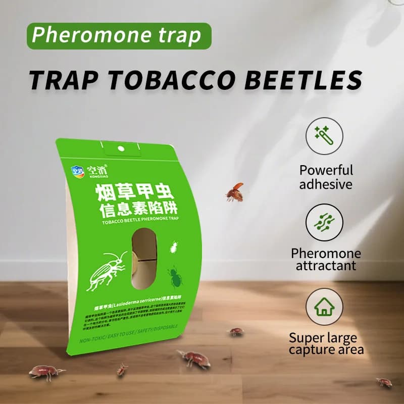 Piège à coléoptère pour tabac, piège à phéromones pour petits insectes volants, rangement, maison et