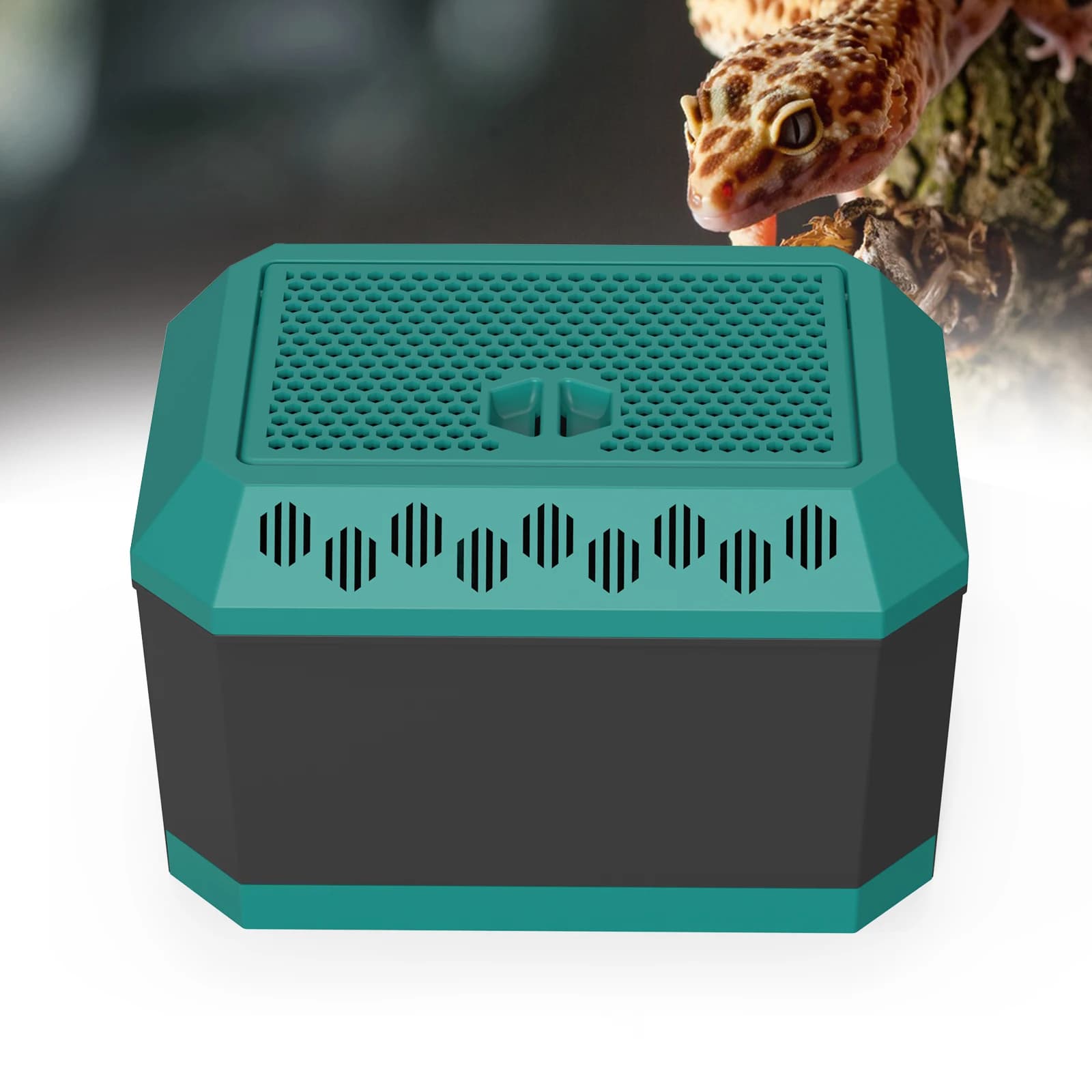 Habitat multi-usages pour insectes, idéal pour les grillons, les blattes Dubia, les vers de pain et 