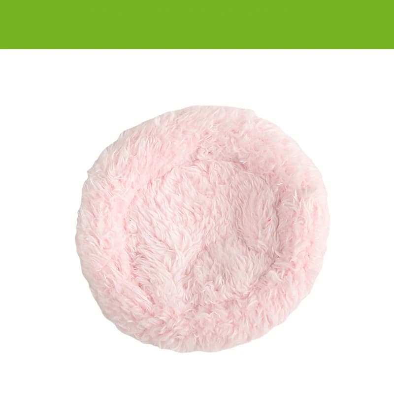 Maison de Hamster résistante aux morsures, petits Cages naturels en noix de coco pour animaux de com