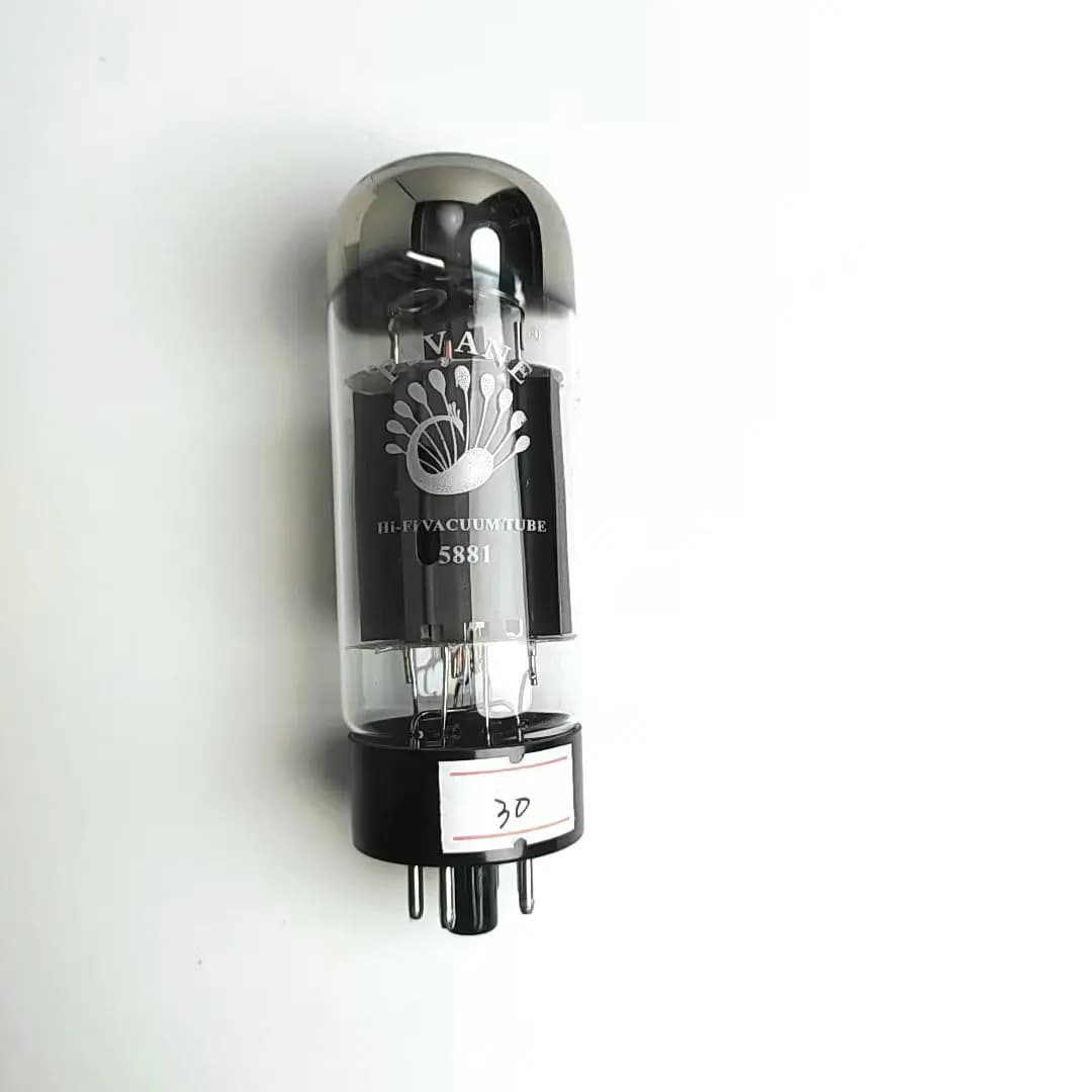 FEIYUE-Kit d'amplificateur de tube électronique PSWars E 5881, remplacement de tube à vide, 588l'aut