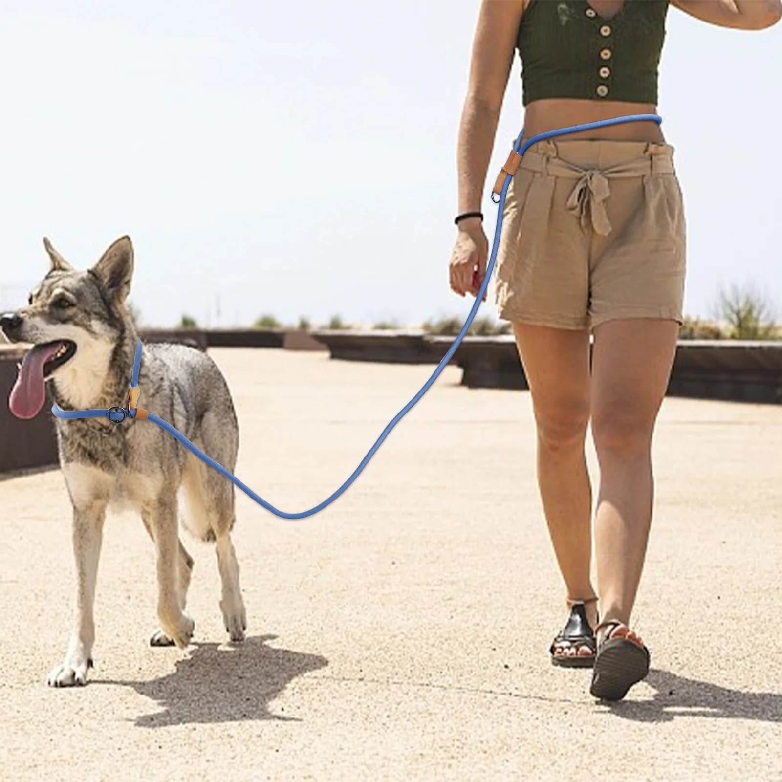 Laisse pour chien multifonctionnelle réglable en forme de P, chaîne de Traction, pour la course à pi