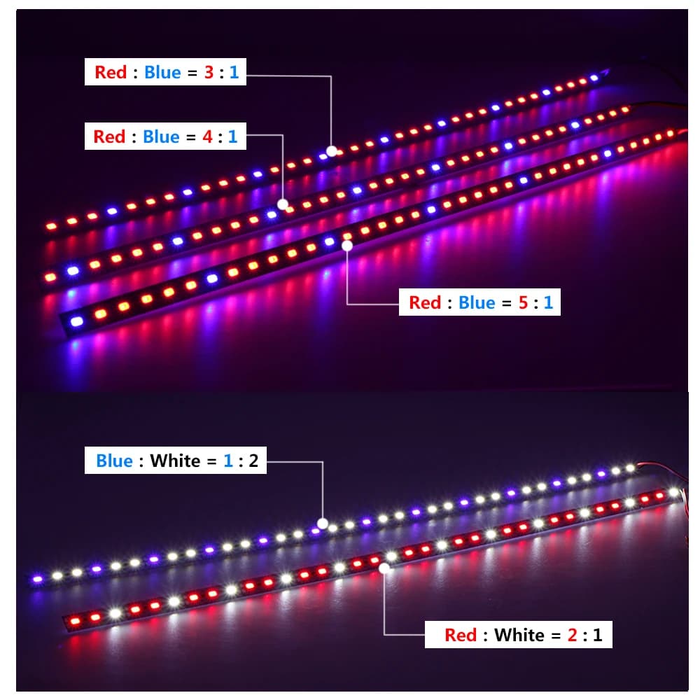 Barre lumineuse LED 12V 5730 pour culture de plantes, rouge, blanc, bleu, Plytolamp pour serre, tent