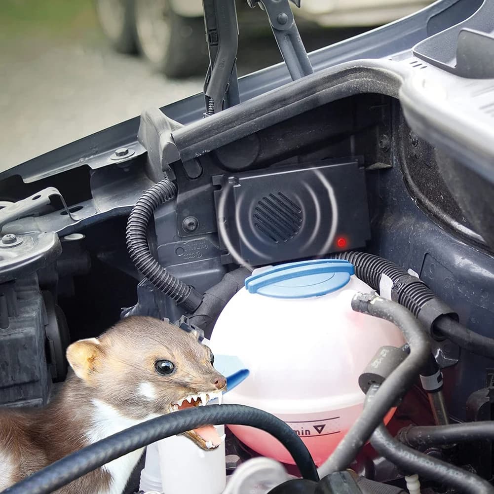 Répulsif de souris à ultrasons répulsif de rongeurs Non toxique répulsif de souris électronique alim