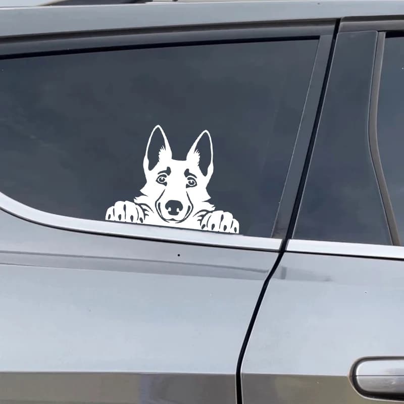 Voitures accessoire décalcomanies drôle chien avec nom voiture décalcomanie chiens animaux de compag