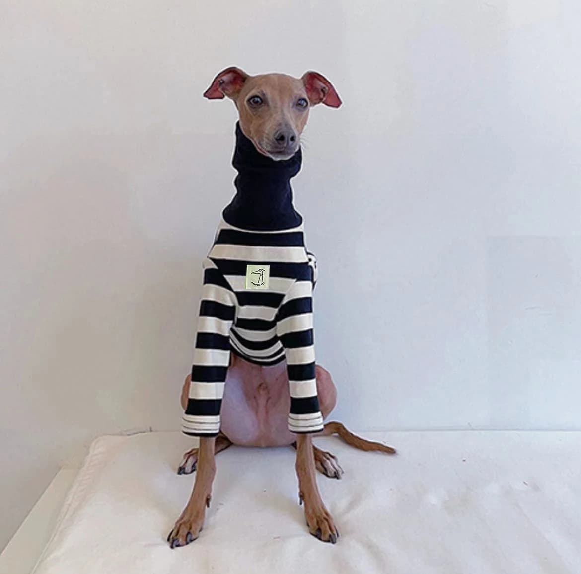 Vêtements pour animaux de compagnie à rayures noires et blanches, nouveaux vêtements de printemps et