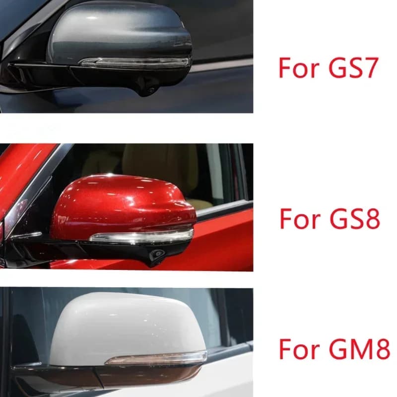 Rétroviseur extérieur lampe clignotant LED vue arrière avec ampoule pour GAC Trumpchi GS7 GS8 GM8 20