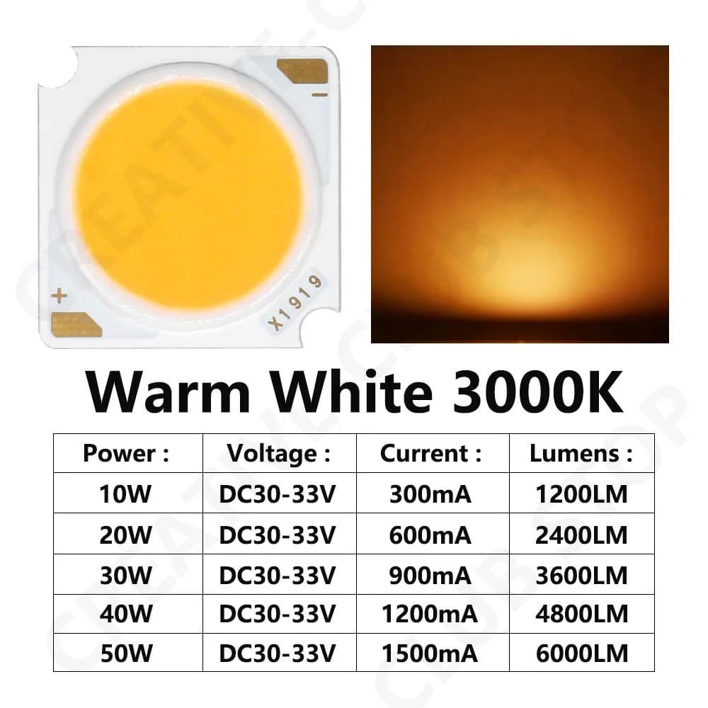 10 pièces 1919 10W 20W 30W 40W LED COB puce Diode électroluminescente importée Bridgelux puce de cri