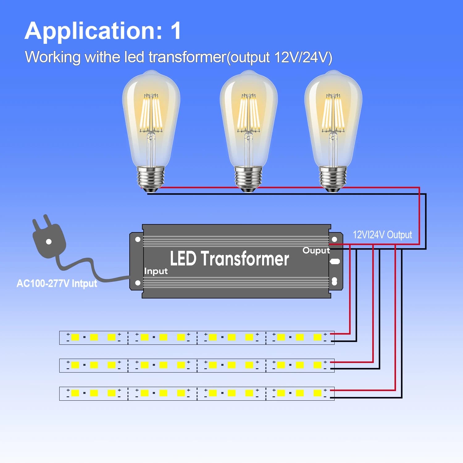 Ampoule à Filament LED Basse Tension, Blanc Chaud, Non Variable, Lampe Extérieure pour Ampoules Sola