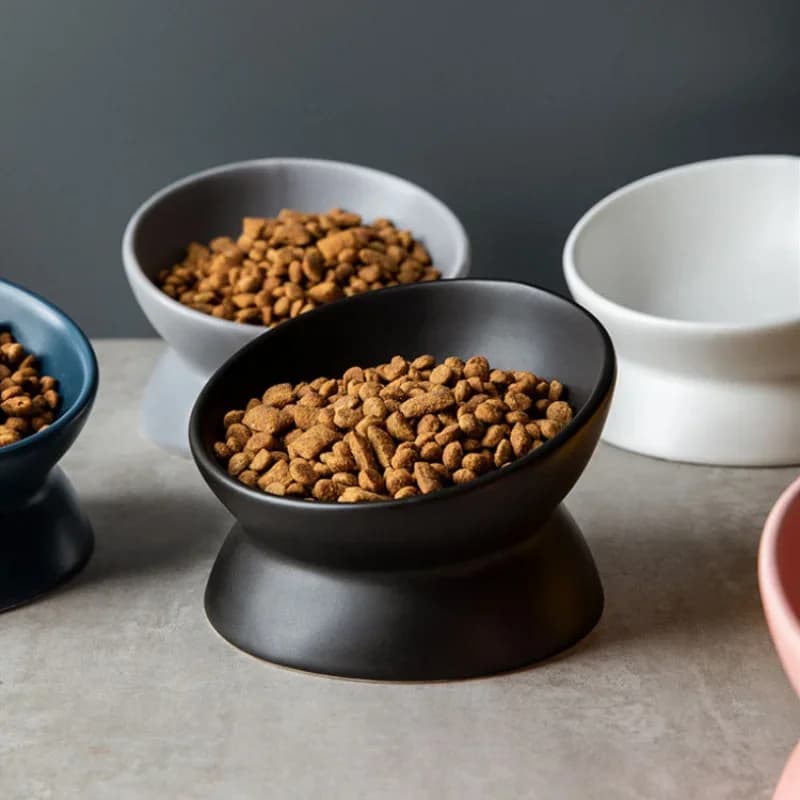 Bols surélevés pour chat petit chien 15 °   Plat d'alimentation alimentaire surélevé incliné, suppor