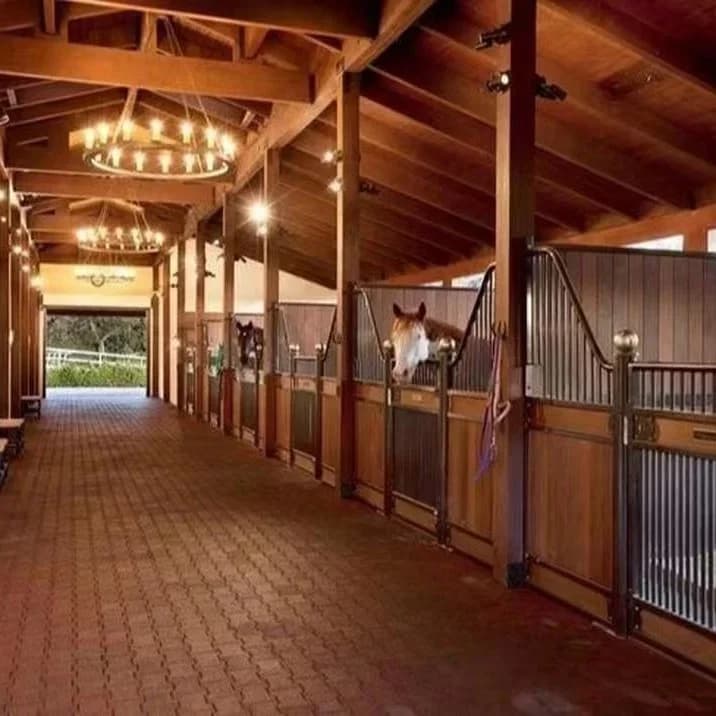 Abri pour chevaux préfabriqué en boîte à chevaux enduit de poudre avec façades de stand de chevaux d