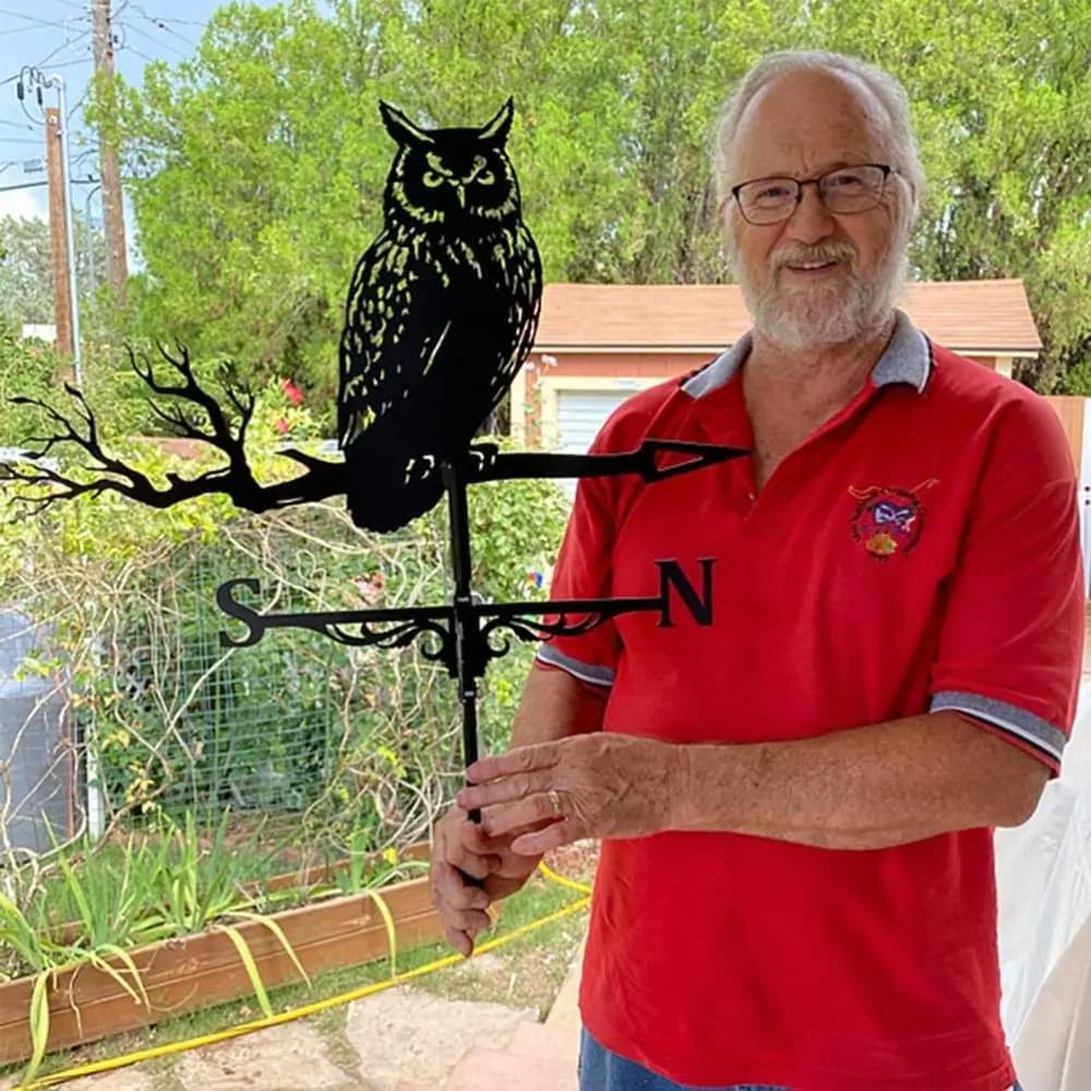 Girouette créative hibou, toit en métal, décorations de jardin, palette à vent noire, artisanat d'ex
