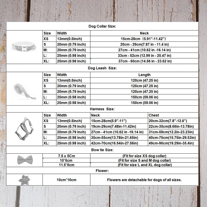 Accessoires pour animaux de compagnie : Ensemble collier, laisse et harnais en polyester soyeux de l