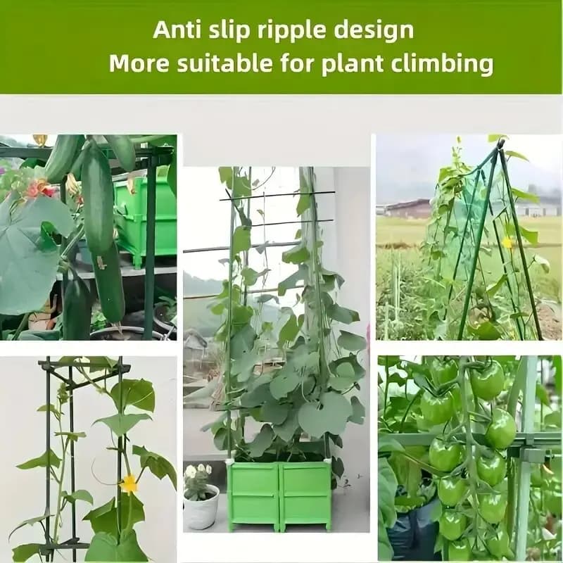 Paquet de 20 piquets de Support pour plantes polyvalents «robuste croissance», treillis de légumes e