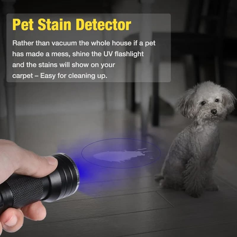 21 LED UV lampe de poche ultraviolette lumière noire 395NM Mini torche lampe Flash pour les taches d