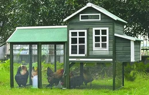 Fabricant de poulailler en bois de grande taille de maison extérieure faite sur commande de cage de 