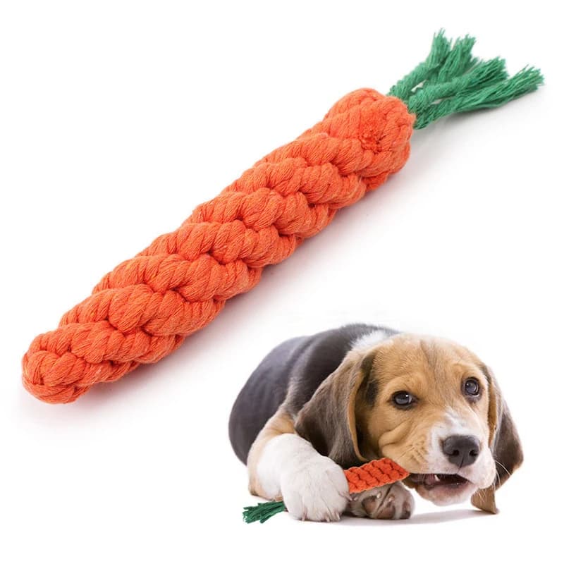 Jouets à mâcher pour petits chiens, jouets pour chiens de compagnie, livres, dents, chiot, carotte, 