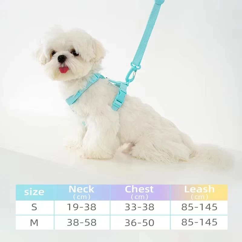 Harnais pour chien, collier pour chien, laisse pour chien, couleur Macarone, accessoires pour chat, 