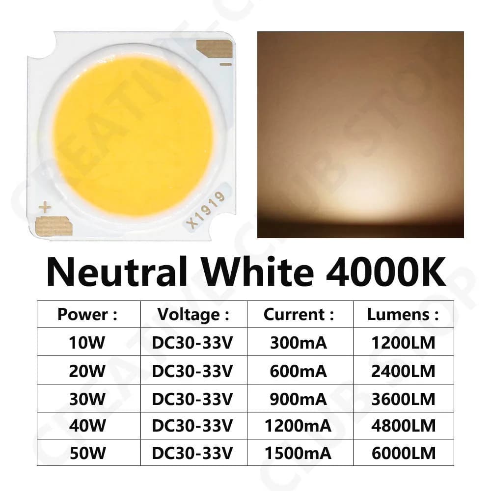 10 pièces 1919 10W 20W 30W 40W LED COB puce Diode électroluminescente importée Bridgelux puce de cri