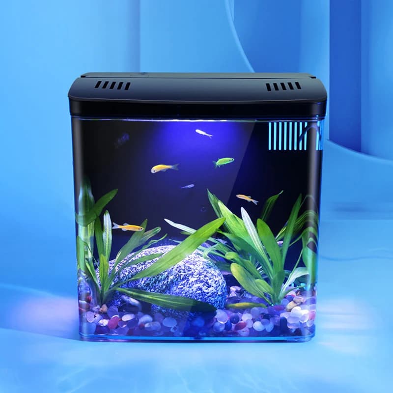 Réservoir de poissons salon petit mini réservoir Douyu ménage table réservoir écologique auto-circul