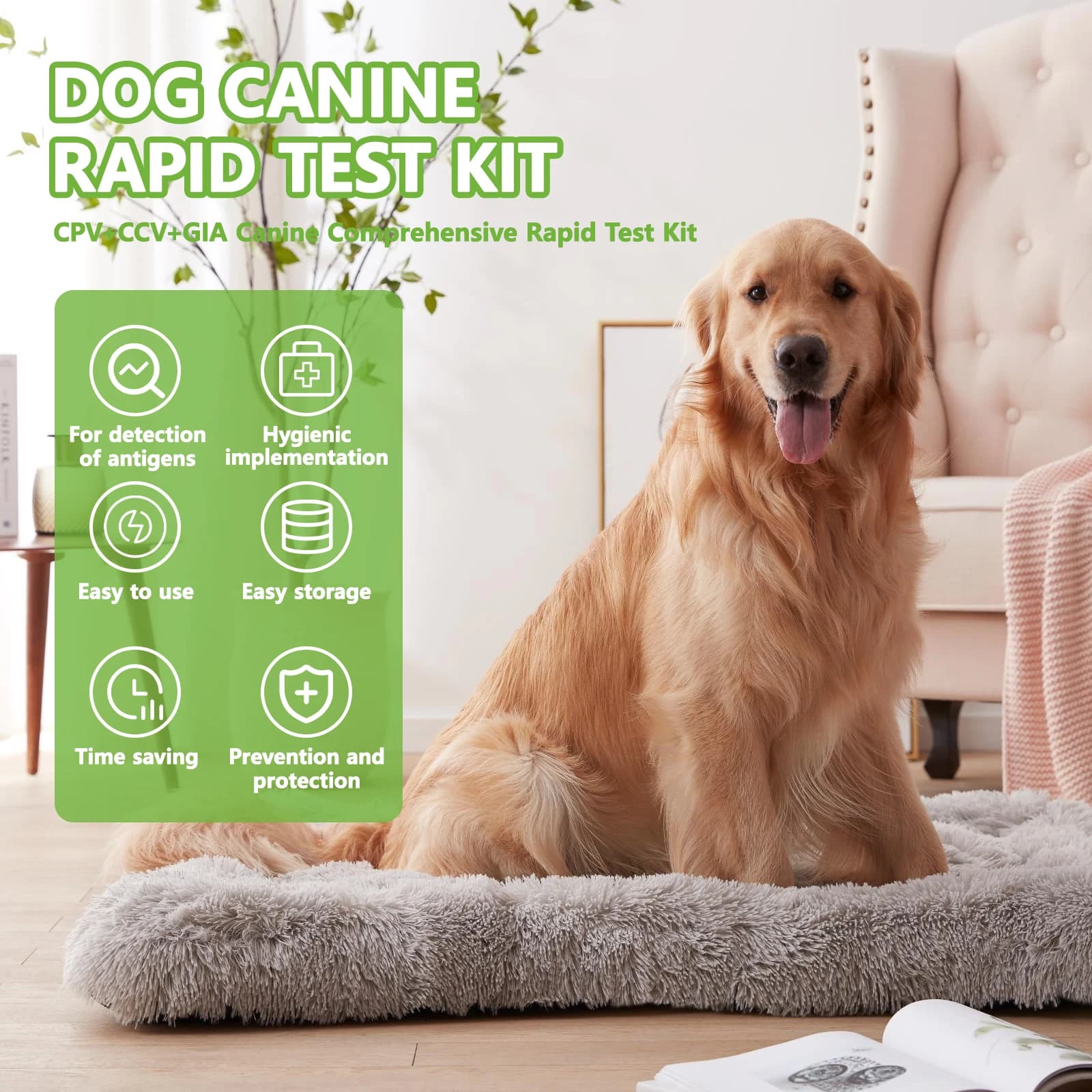 Kit de Test rapide 3 en 1 combiné canin CPV + CCV + GIA Ag, Test de santé domestique pour chiens vét