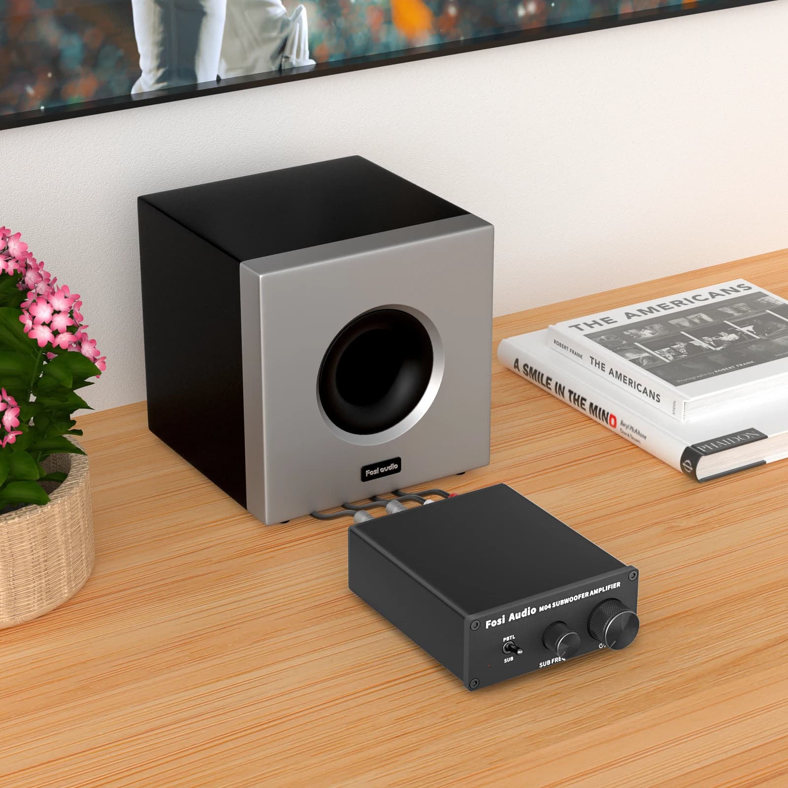 Fosi Audio Mono amplificateur caisson de basses 100W avec amplificateur de puissance de basse pour h