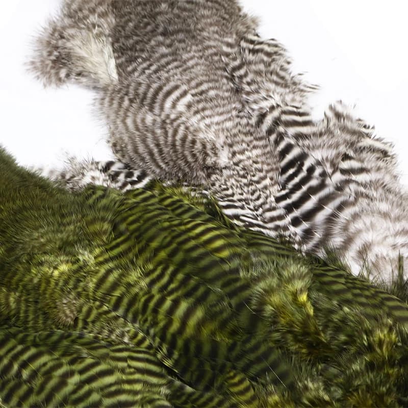 Selle de poule souple et bugger en laine grizzly, assressentide plumes de marabout, mouche premium, 