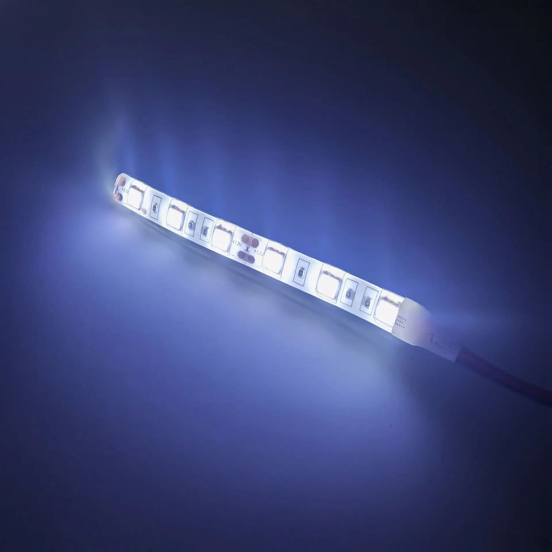 2 pièces DC12V 5050 10 cm 6 LED s 5 cm 3 LED bande lumineuse LED étanche bande flexible bande lumine