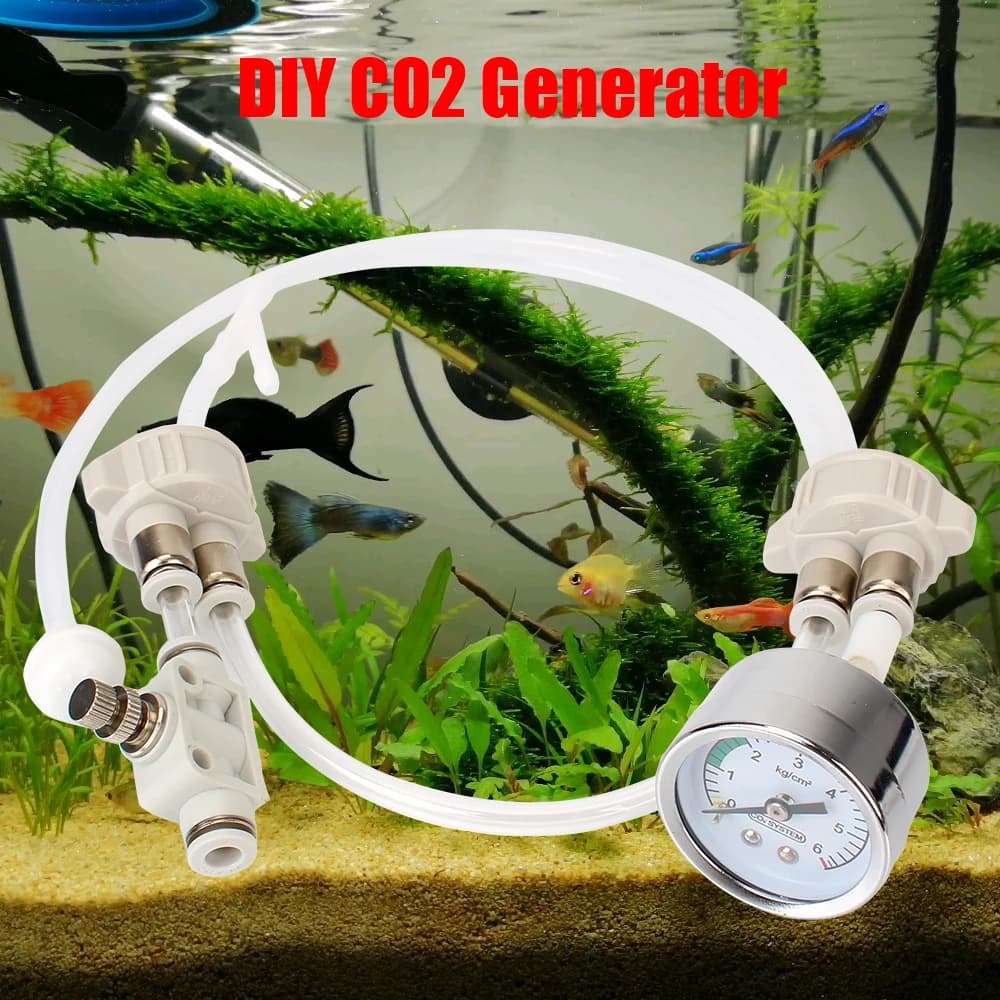 CO2 fait maison avec dispositif de débit d'air à pression Kit de système de générateur de CO2 bricol