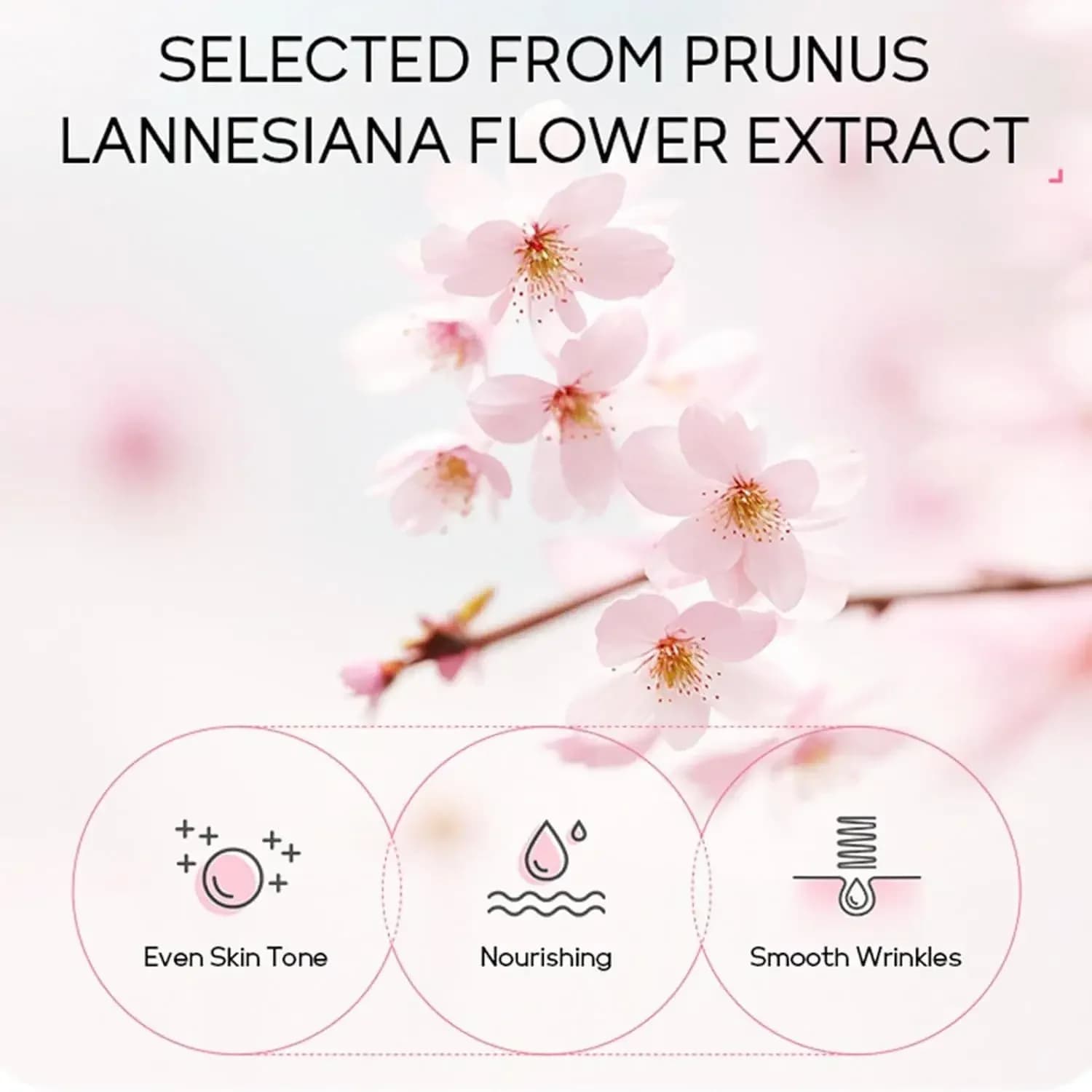 Sakura – ensemble de soins pour la peau, 24 pièces, masques pour les yeux et les lèvres, sérum Nud, 
