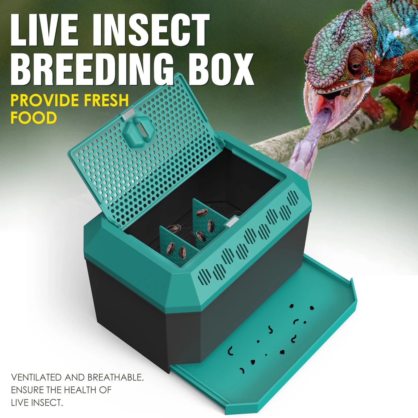 Habitat multi-usages pour insectes, idéal pour les grillons, les blattes Dubia, les vers de pain et 