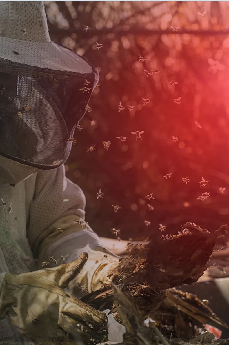 Zoom lumière rouge lampe de poche Mini chasse abeilles pêche vaisseaux sanguins astronomie observer 
