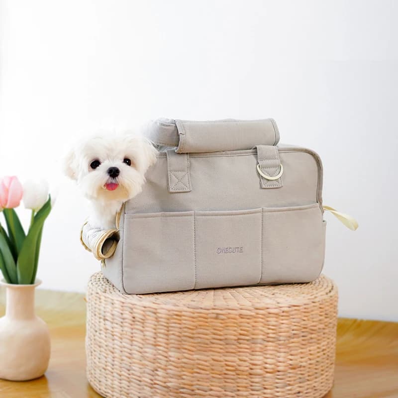 Les animaux de compagnie sortir et emballer les chiots. Les sacs portables à une épaule conviennent 