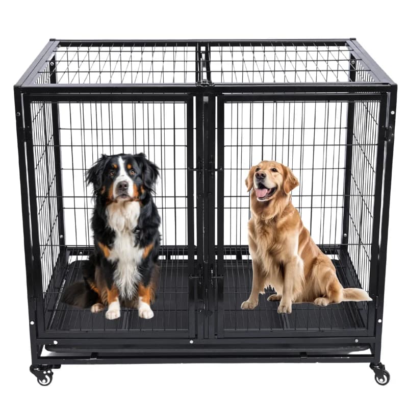 Cage d'élevage en métal robuste pour chien, peut contenir deux animaux de compagnie, élevage en plei