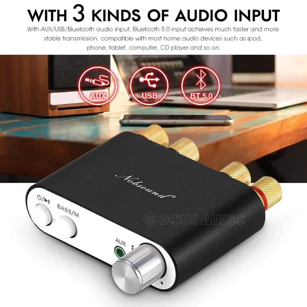 Douk Audio NS-10G Mini Bluetooth 5.0 TPA3116 Amplificateur de Puissance Numérique HiFi Stéréo Audio 