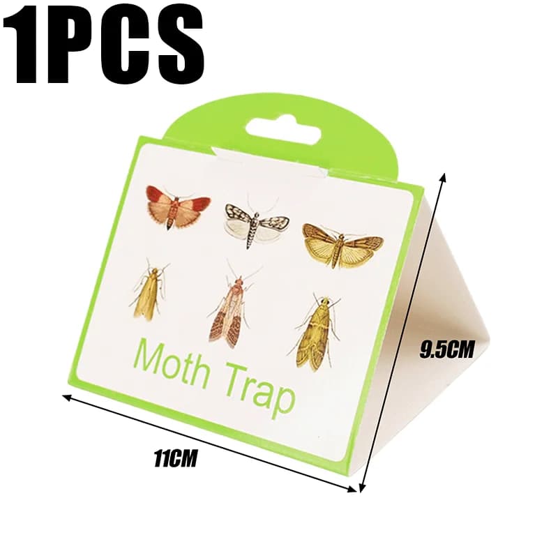 Piège à mites non toxique, cadre vert, fond blanc, collant et efficace, attrape-mites pour garde-man