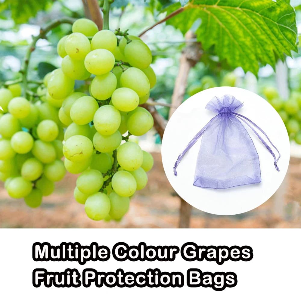 Sacs de culture de légumes et de raisins, 20 à 100 pièces, sacs de Protection des fruits, filet Anti