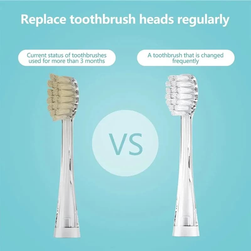Pour Seago SG977/EK6/EK7/SG513 enfants brosse à dents électrique têtes de brosse à dents de remplace