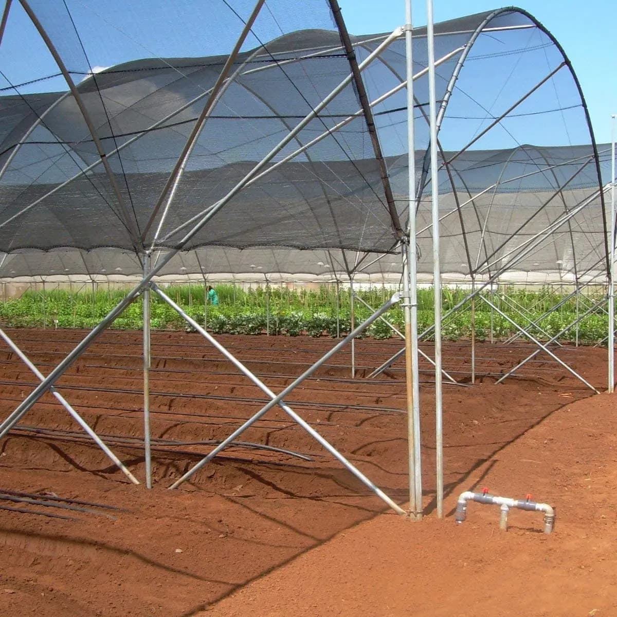 Bord coupé en tissu avec cilps gratuits, grille d'ombrage 50%, crème solaire, couverture de plantes 