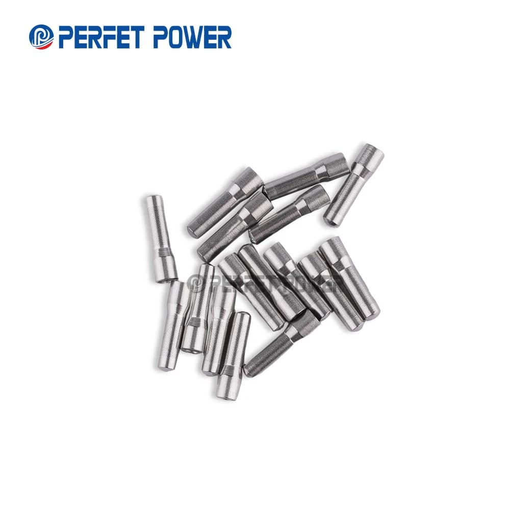 100 pièces 093152 -0320 Filtre d'injecteur pour injecteur de carburant Diesel à rampe commune fabriq